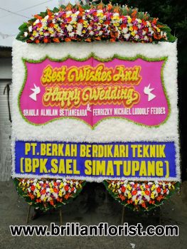 SWK 803